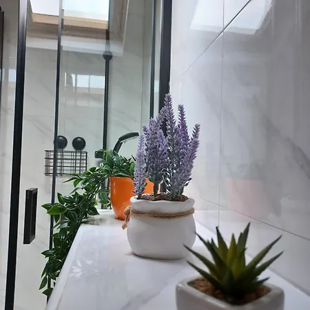 Family - 2026 Ryanair's Nr 1 Appartamento *